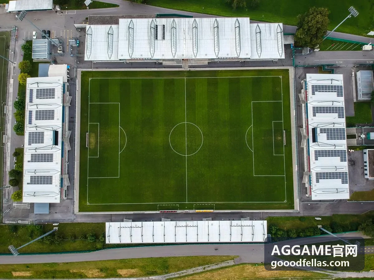 AGGAME案例
